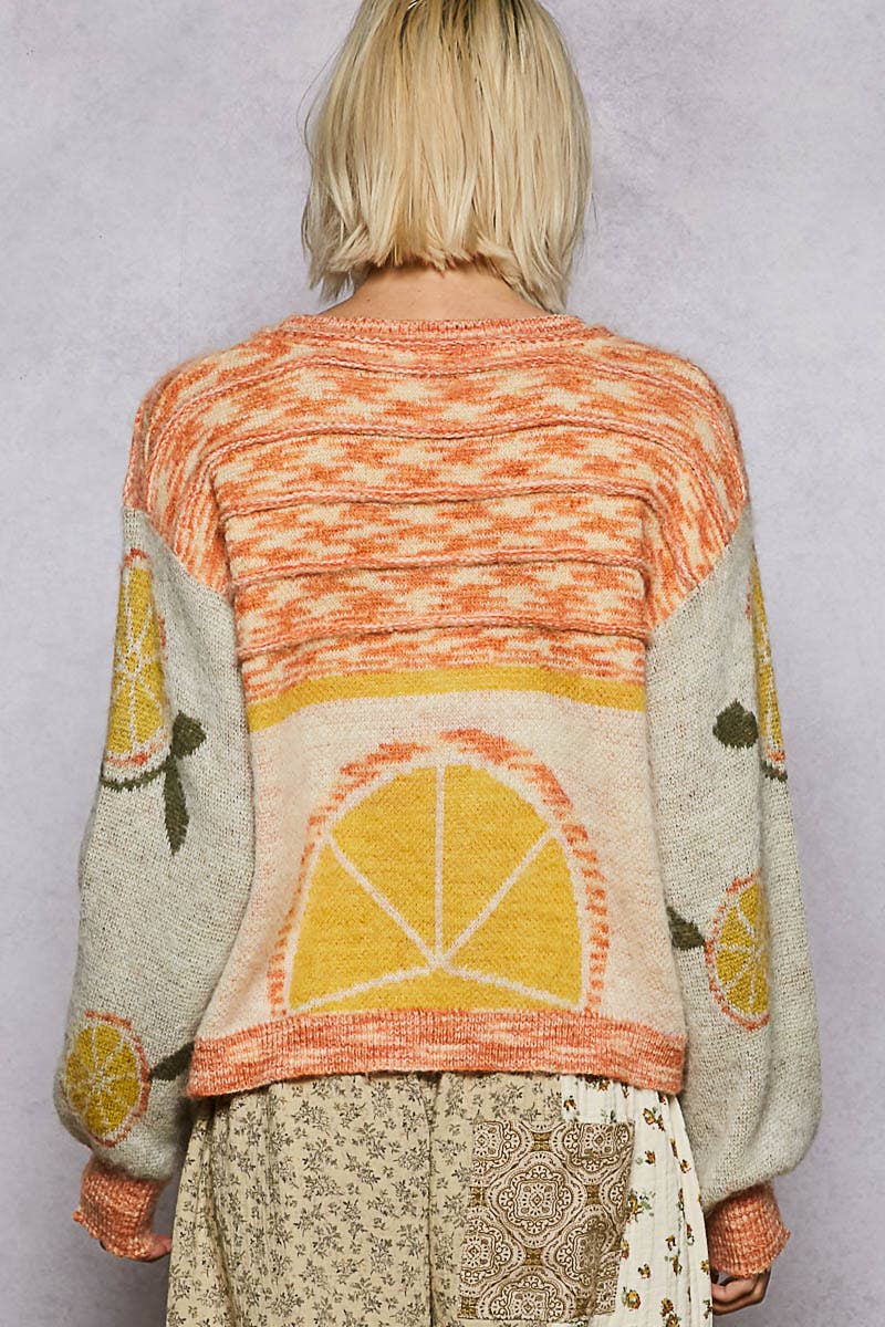 Long sleeve fruit motif pattern multi-colored sweater top