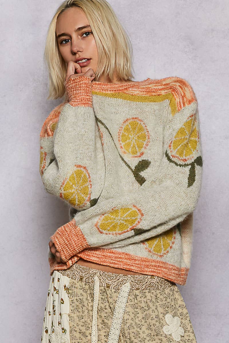 Long sleeve fruit motif pattern multi-colored sweater top