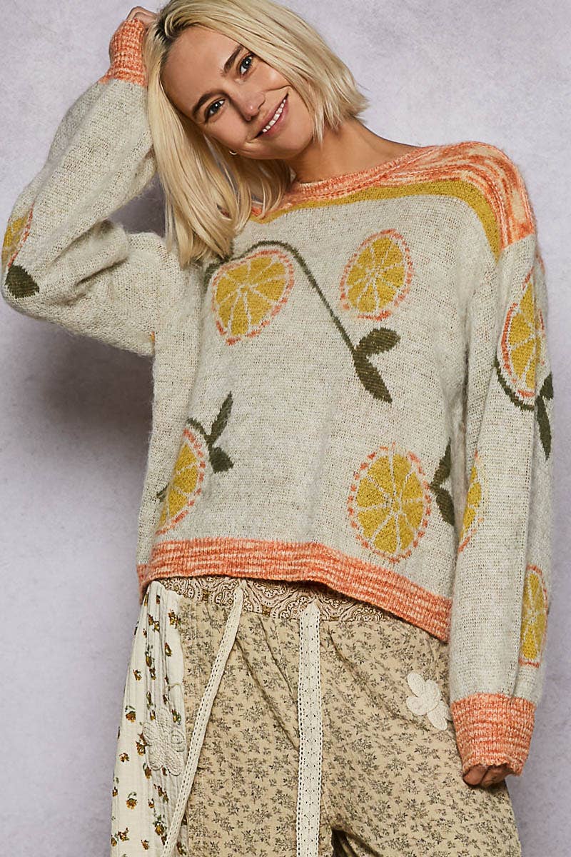 Long sleeve fruit motif pattern multi-colored sweater top
