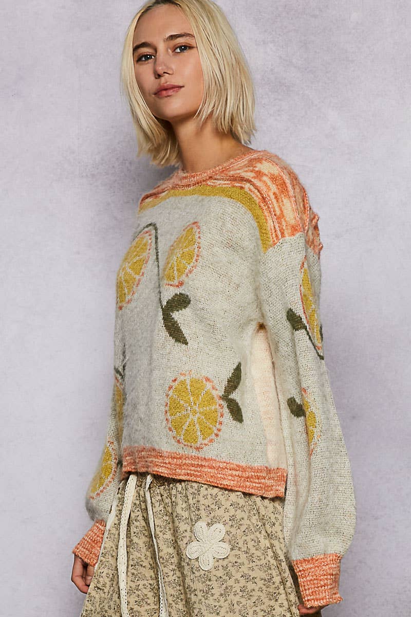 Long sleeve fruit motif pattern multi-colored sweater top